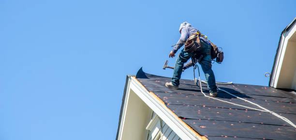 Best Storm Damage Roof Repair  in Bonneau Beach, SC